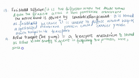 in-prokaryotes-in-which-direction-are-hydrogen-ions-pumped-by-the-electron-transport-system-of-photo-66603
