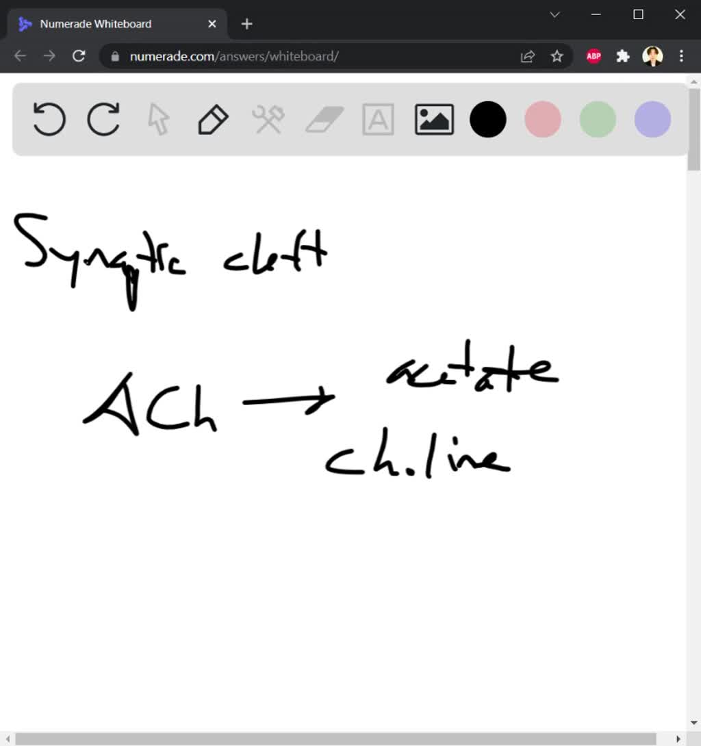 solved-a-drug-that-inactivates-acetylcholinesterase-a-stops-the