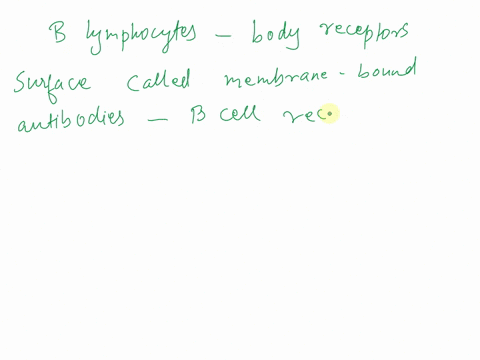 true-or-false-each-b-lymphocyte-in-your-body-has-receptors-on-its-surface-membrane-bound-antibodies-that-bind-to-a-specific-antigen-27998