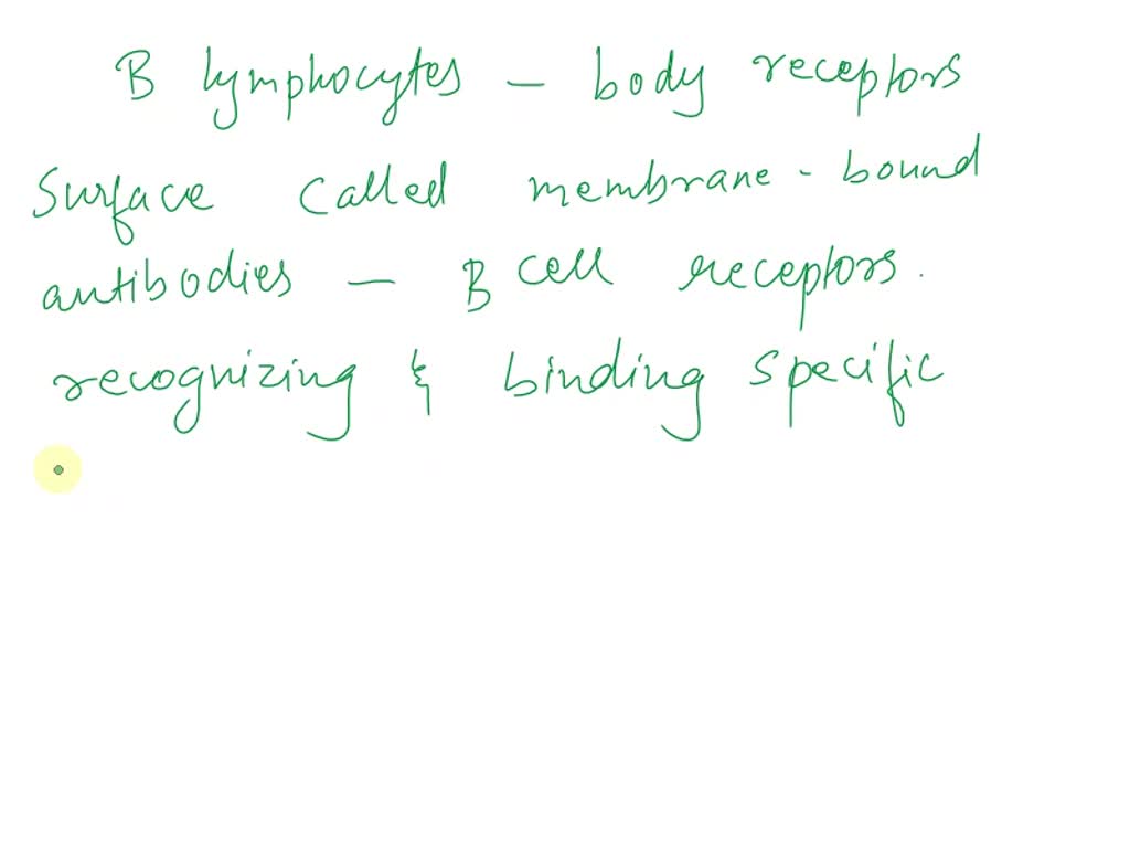 SOLVED: The Fc portion of IgG binds to epitopes of the antigen enabling ...