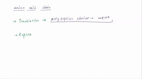 primary-structure-of-polypeptide-is-the-product-of-translation-replication-base-pairing-cell-division-transcription-12184