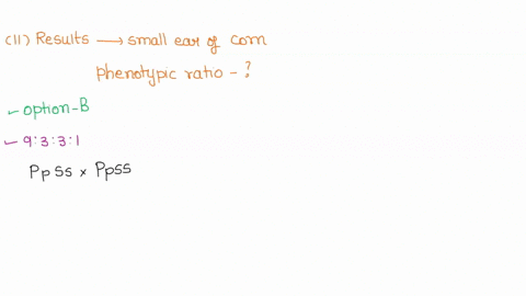 question-11-4-points-saved-the-following-results-were-obtained-from-observing-a-small-ear-of-corn-6-yellow-rough-kcrels-18-purple-rough-kerncls-12-yellow-smooth-kernels-and-60-purple-smooth-64474
