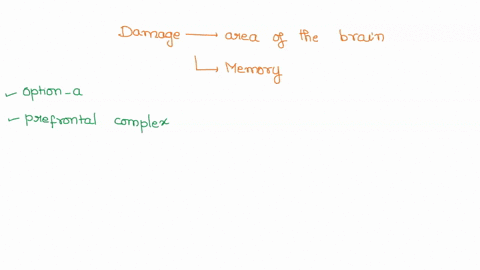 physiological-studies-indicate-that-damage-to-the-area-of-the-brain-known-as-the-_______-can-disrupt-behaviors-that-depend-on-working-memory-64746