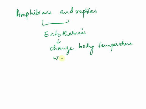 how-animals-like-amphibians-and-reptiles-do-mantain-their-body-temperature-55142