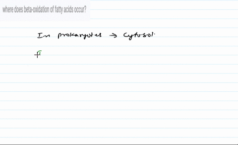 where-does-beta-oxidation-of-fatty-acids-occur-95394