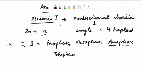 true-or-false-during-anaphase-of-meiosis-ithe-first-phase-of-meiosishomologous-chromosomes-separate-opposite-poles-of-the-cellwhereas-sister-chromatids-remain-joined-40636