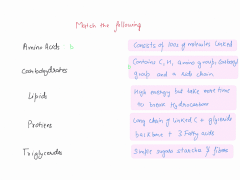 question-of-4-match-each-term-to-the-best-description-amino-acids-consist-of-hundreds-of-molecules-linked-together-carbohydrates-lipids-contain-c-h-amino-group-carboxyl-group-and-side-chain-72697