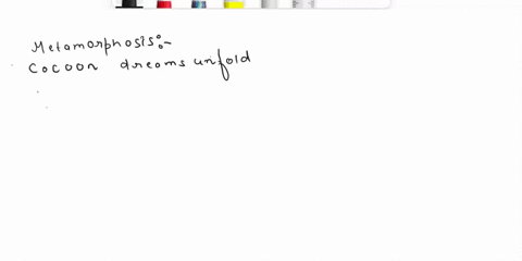 a-haiku-is-a-short-poem-three-lines-in-length-the-first-line-contains-5-syllables-the-second-line-contains-7-syllables-and-the-third-line-contains-5-syllables-write-a-haiku-about-one-of-the-93962