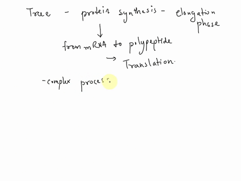 25-which-one-of-the-following-statements-about-the-elongation-phase-of-protein-synthesis-is-true-oat-least-five-high-enefgy-phosphoryl-groups-are-expended-fof-each-peptide-bond-formed-odurin-12912
