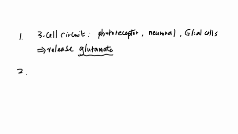 multiple-choice-questions-question-1-from-the-simple-three-cell-retinal-circuit-what-neurotransmitter-is-released-by-all-three-cell-types-glutamate-acetycholine-gaba-glutamate-and-gaba-question-2-whic