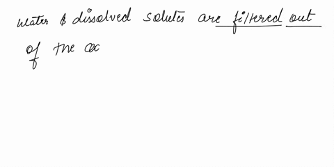 question36-when-pressure-in-the-capillaries-is-greater-than-pressure-in-the-tissue-space-owater-moves-into-the-capillaries-by-osmosis-owater-moves-into-the-tissue-space-by-osmosis-o-water-an-82936
