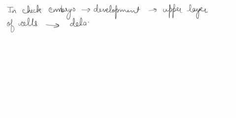 arca-vasculosa-area-vitelline-epiblast-hypoblast-hensen-node-primitive-streak-56in-the-chick-embryo-following-delamination-which-separates-the-blastoderm-into-iwo-layers-it-i5-the-upper-laye-01885
