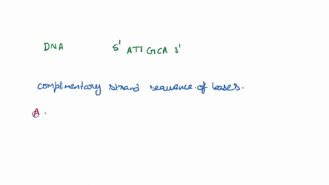 if-one-strand-of_-dna-molecule-has-the-sequence-of-bases-5attgca3-the-other-complementary-strand-would-have-the-sequence-5uaacgu3-sugcaau-3uaacgus-3-taacgts-63297