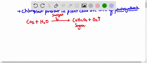 chloroplasts-convert-energy-from-the-house-sun-into-the-mitochondria-use-glucose-to-produce-energy-in-the-form-of-60721