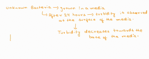 question-14-1-pts-you-are-given-an-unknown-bacterium-in-the-lab-and-have-to-determine-unknown-bacterium-oxygen-needs-you-place-the-organism-in-a-shake-tube-and-after-24-hours-observe-signifi-48433