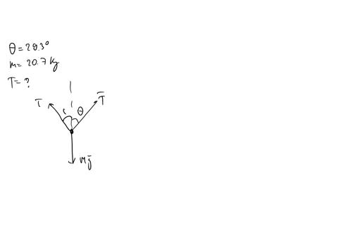 two-identical-strings-making-an-angle-of-0-2930-with-respect-to-the-vertical-support-a-block-of-mass-m-207-kg-see-the-figure-below-what-is-the-tension-in-each-of-the-strings-enter-your-answe-85715