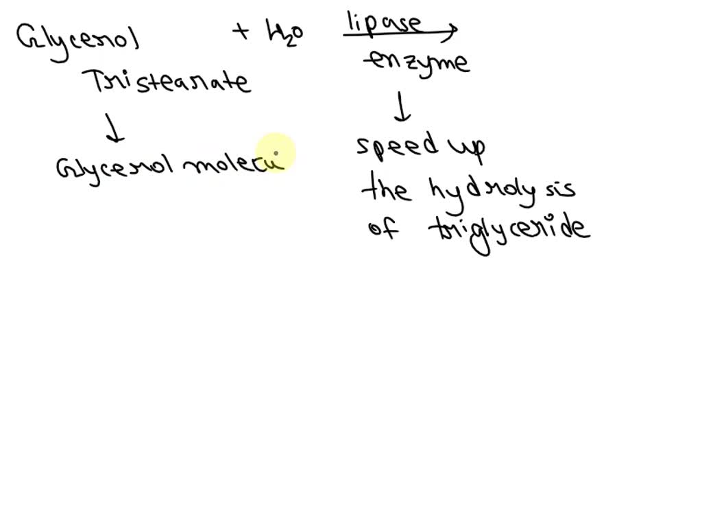 SOLVED: the reaction of glyceryl tristearate with water in the presence ...