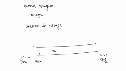 1-kr-time-certain-cells-in-tne-retina-respond-differently-to-the-direction-in-which-objects-move-to-understand-how-cells-in-tne-retina-respond-t0-difierent-visual-stimuli-the-activity-of-a-r-43843