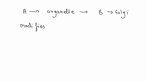 the-_______-is-a-complex-network-that-transports-materials-throughout-the-inside-of-a-cell-a-chloroplast-b-golgi-apparatus-c-mitochondrion-d-endoplasmic-reticulum-16384