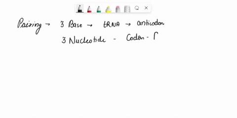codons-that-call-for-the-same-amino-acid-tend-to-differ-at-the-third-nucleotide-position-because-the-pairing-between-the-third-base-of-the-trna-anticodon-and-the-third-nucleotide-of-the-codo-03554
