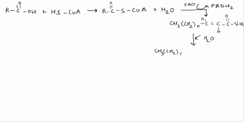 short-response-consider-the-fatty-acid-which-has-20-carbons-below-cooh-a-2-pts-how-many-cycles-of-b-oxidation-are-required-for-catabolism-briefly-explain-b-2-pts-how-many-acetyl-coa-are-prod-34238