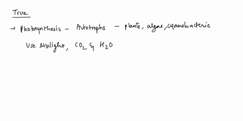 the-free-oxygen-inthe-atmospheric-air-is-the-result-of-photosynthesis-true-or-false-02026