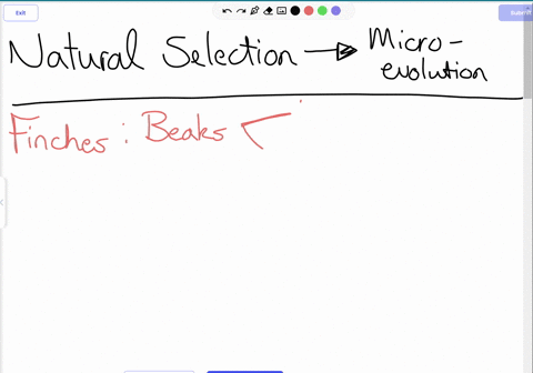 explain-the-relationship-between-the-environment-variation-and-selection-changing-can-cause-certain-traits-to-be-favored-through-this-can-lead-to-changes-in-08174