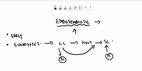 question-27-endosymbiotic-theory-explalns-the-orlgin-of-some-organelles-bastd-upon-those-organclles-having-prokanyptx-inner-membrane-reproduction-prokanvatic-pmcoss-havc-all-of-these-iisted-02877