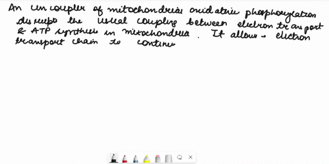q1-a-simple-explanation-of-the-action-of-an-uncoupler-of-mitochondrial-oxidative-phosphorylation-is-that-it-is-any-agent-that-a-blocks-the-oxidation-of-reduced-cytochrome-c-by-cytochrome-oxi-57826