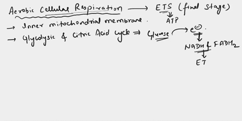 which-molecule-is-the-final-acceptor-of-electrons-at-the-end-of-the-electron-transport-system-in-aerobic-cellular-respiration-select-one-a-pyruvate-b-lactate-c-carbon-dioxide-d-oxygen-14103