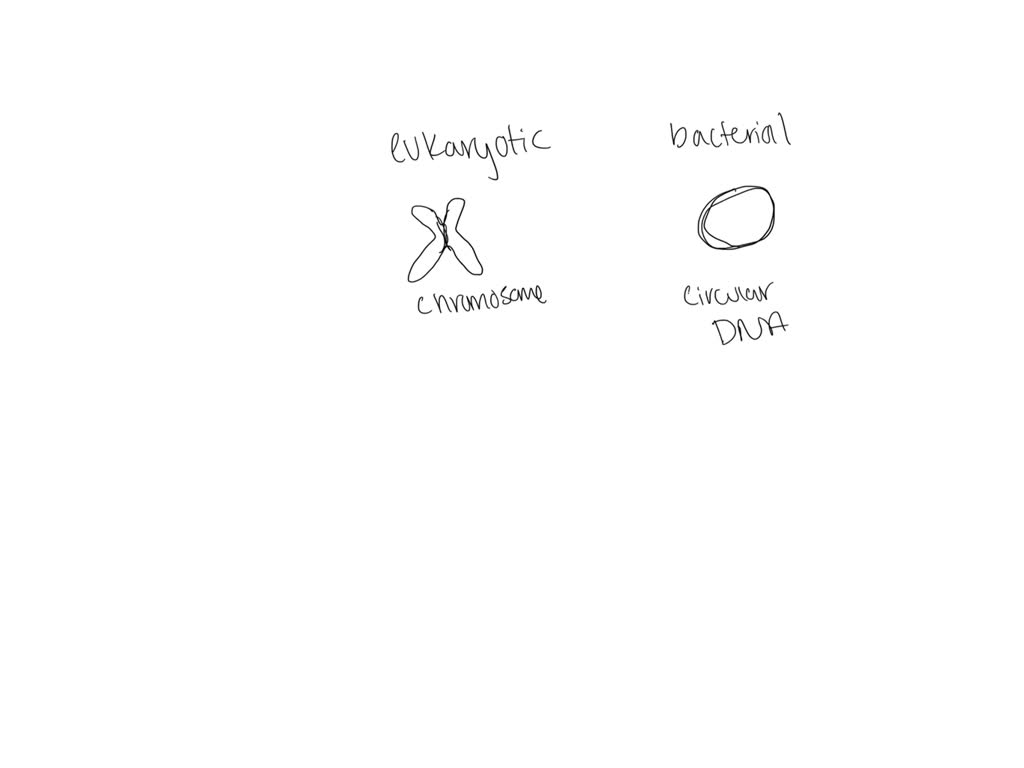 SOLVED Which statement correctly describes differences between