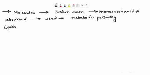 questict-167p1-which-of-the-fallowing-molecules-broken-down-into-monosaccharides-that-are-absorbed-into-the-bloodstream-and-used-metabolic-pathways-to-harness-cnergy-lpids-starch-proteins-am-13862