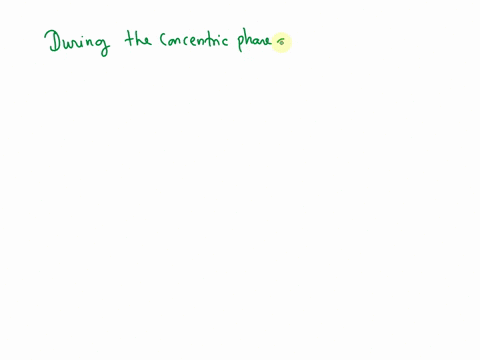 if-you-were-doing-a-deadliftwhich-muscles-are-being-worked-at-the-concentric-phase-in-a-complete-sentence-name-at-least-3-muscles-being-used-eccentric-concentric-39748