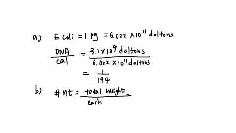 three-successive-nucleotides-along-a-dna-molecule-called-a-codon-encode-one-amino-acid-the-weight-of-96967