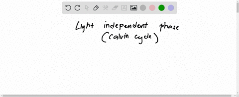 what-is-end-product-of-the-light-independent-reaction-short-answer-93132