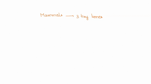 mammals-have-particularly-good-sense-of-earing-thanks-to-their-inner-ear-which-includes-three-tiny-bones-reptiles-in-contrast-have-single-inner-ear-bone-the-lower-jaw-of-reptiles-is-composed-58262