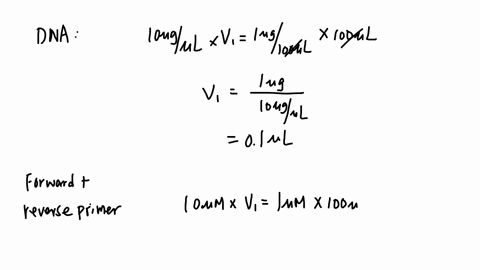 you-want-to-amplify-a-gene-fragment-by-polymerase-chain-reaction-pcr-you-have-the-following-stocks-template-dna10-ugul-forward-primer-1oum-reverse-primer-1oum-dntp-10-mm-10x-pcr-buffer-and-t-60146