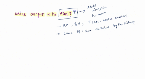 a-what-happens-to-urine-output-with-adh-secretionb-why-does-k-concentration-in-urine-increase-when-adh-is-presentc-if-there-is-a-significant-loss-of-fluid-from-the-body-the-kidneys-will-prod-64558