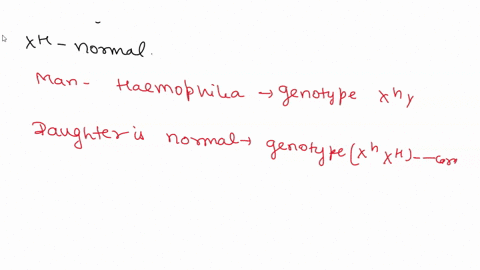 13-a-man-with-hemophilia-a-recessive-sex-linked-condition-has-daughter-of-normal-phenotype-she-marries-man-who-is-normal-for-the-trait-what-is-the-probability-that-a-daughter-of-this-union-w-55567
