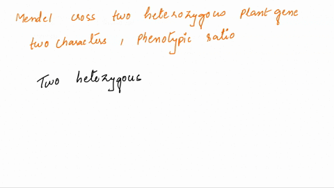 when-mendel-crossed-two-plants-that-were-both-heterozygous-for-a-two-characters-what-was-the-phenotypic-ratio-of-their-offspring-1111-not-enough-information-provided-9331-80104
