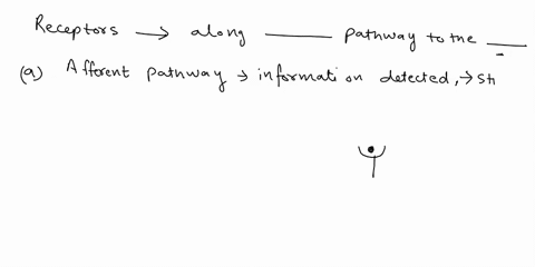 question-2-when-receptors-detect-stimulus-information-is-sent-along-the-da-afferent-pathway-effector-pathway-t0-the-control-center-effector-efferent-pathway-control-certer-afferent-pachway-c-45086