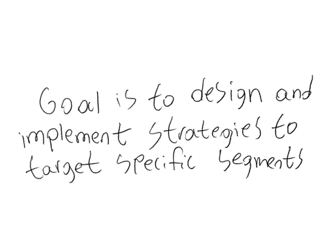 describe-market-segmentationassessment-and-penetration-offering-development-strategy-and-how-it-may-be-employed
