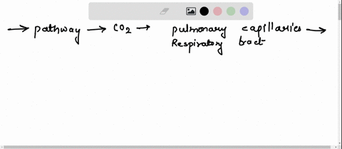 trace-the-pathway-of-the-carbon-dioxide-from-the-pulmonary-capillaries-through-the-respiratory-tract-to-the-point-where-it-exits-from-ms-magentas-body-through-her-nasal-cavity-start-83607