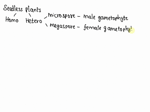 what-structure-of-gymnosperms-are-homologous-to-gametophytes-of-the-seedless-plants-24604