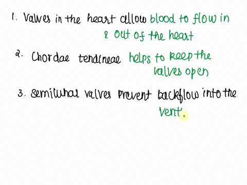 date-cardiovascular-system-1what-is-the-function-of-the-valves-in-the-heart-2what-is-the-function-of-the-chordac-tendinac-3the-av-valves-prevent-backflow-into-the-backflow-into-the-the-semil-55694
