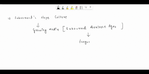 a-sabouraud-slope-culture-contains-a-black-growing-mould-describe-a-diagnostic-method-you-can-use-to-identify-the-suspected-mould-85961