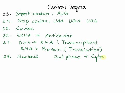 23-what-mrna-codon-acts-a5-start-position-start-codon-24-what-mrna-codons-act-a5-stop-positions-tag-taa-and-iga-and-uag-uaa-and-uga-25a-group-of-three-nitrogen-bases-o-the-mrna-that-code-for-34261