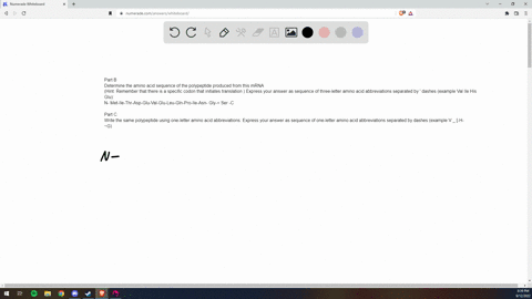 part-b-determine-the-amino-acid-sequence-of-the-polypeptide-produced-from-this-mrna-hint-remember-that-there-is-a-specific-codon-that-initiates-translation-express-your-answer-as-sequence-of-60559