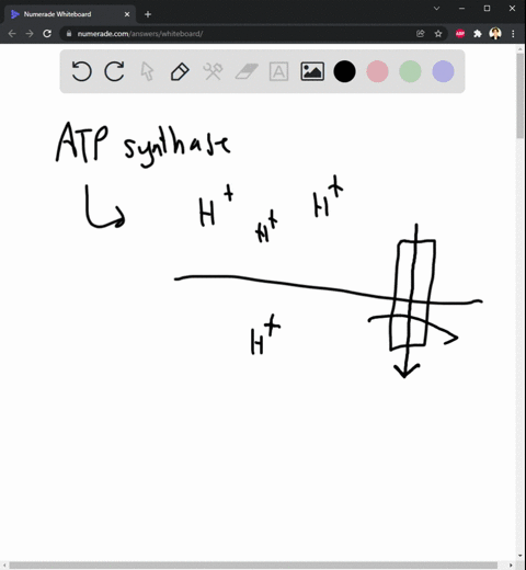 im-having-a-little-trouble-with-my-cell-bio-homework-if-someone-could-explain-each-of-these-to-me-id-really-appreciate-it-thank-you-3-which-of-these-statements-are-true-and-false-a-mitochond-13577