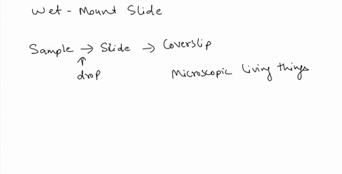 what-is-the-purpose-of-a-wet-mount-slide-preparation-select-one-a-none-of-the-answers-are-correct-b-helps-to-identify-different-types-of-cells-c-helps-to-dilute-the-specimen-d-improves-the-i-07483